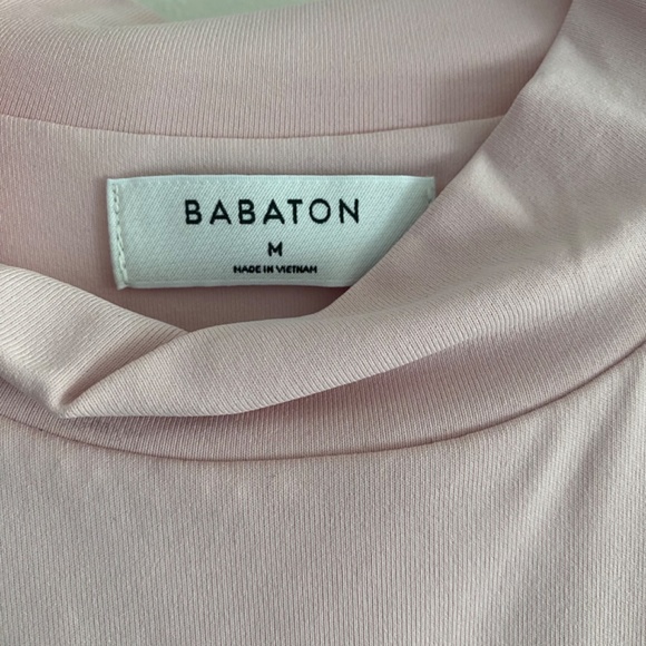 Aritzia Babaton Mockneck Dress - Picture 3 of 6